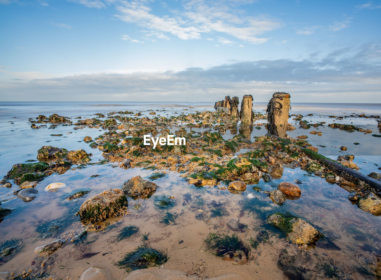 Seaweed covered rocks beside the wooden groyne on a sandy beach