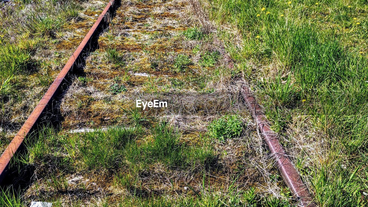 HIGH ANGLE VIEW OF RAILROAD TRACKS BY PLANTS