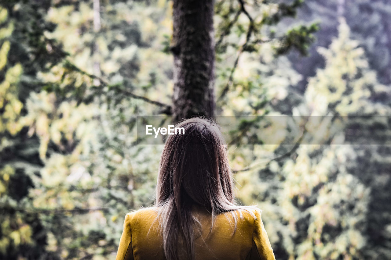 Rear view of woman against trees in forest