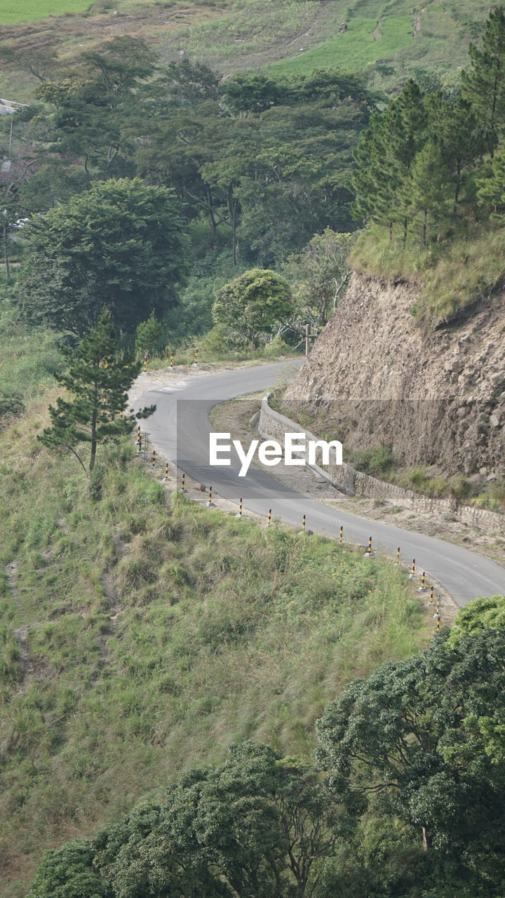 High angle view of road amidst trees