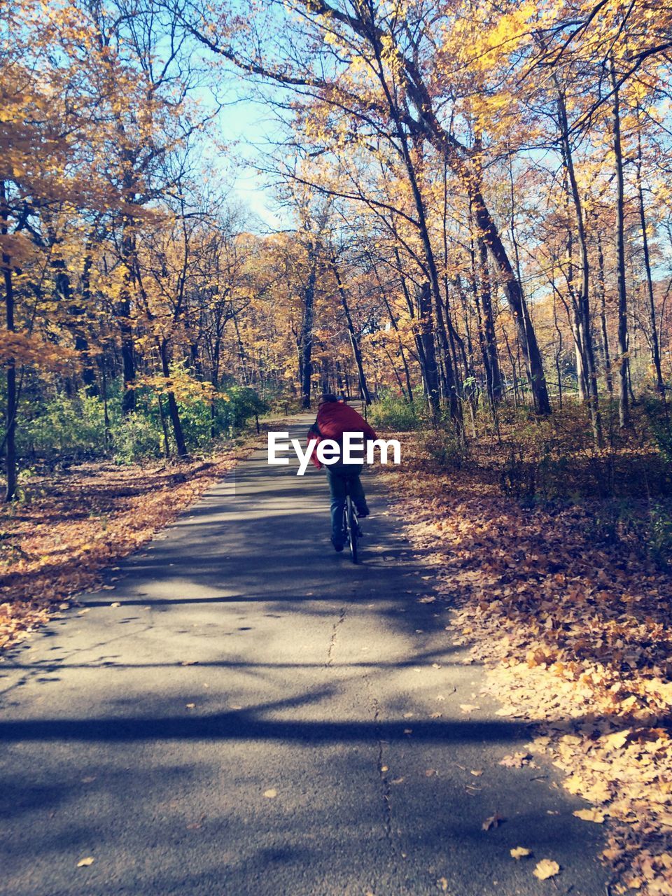 Rear view of man riding bicycle on country road