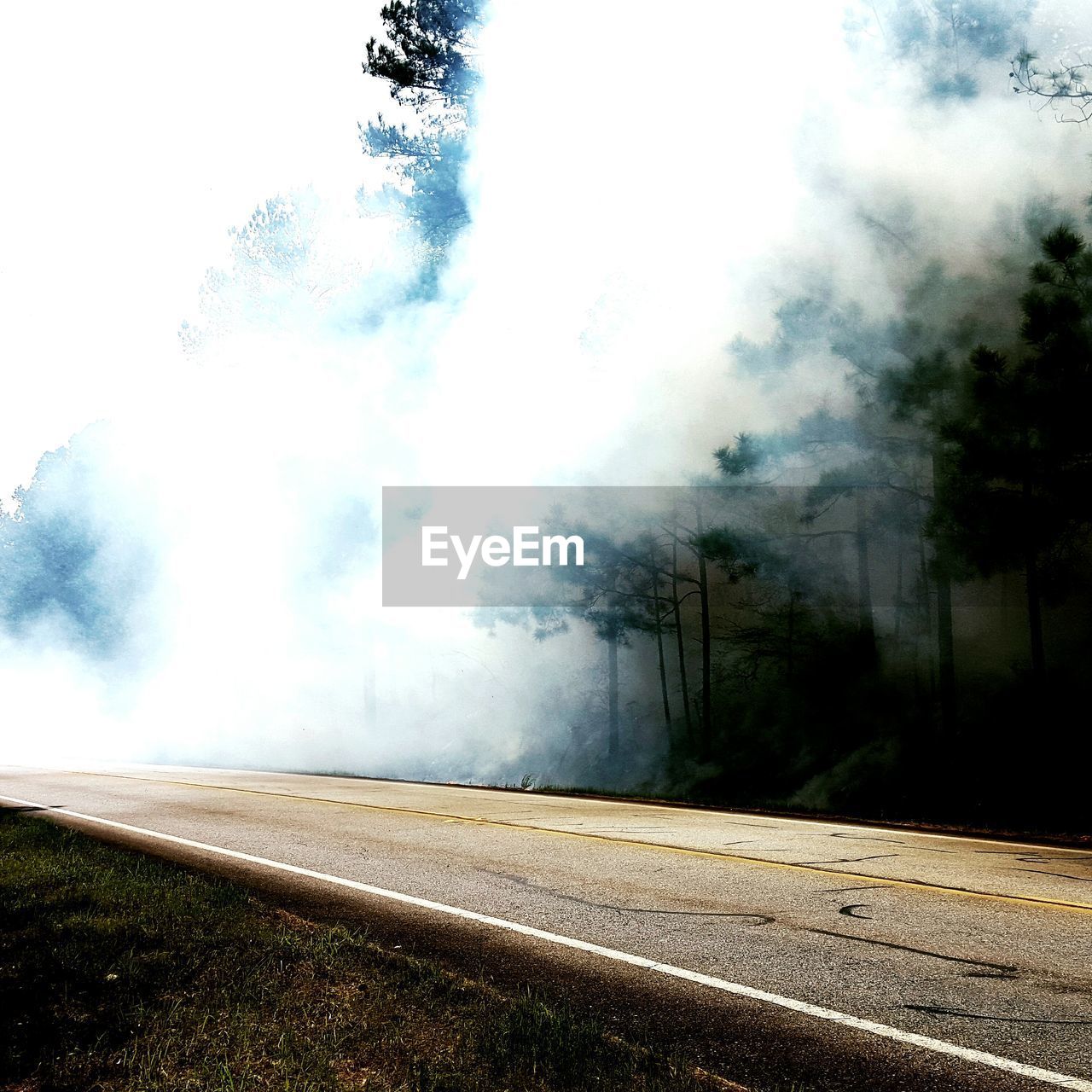Smoke covering trees by road