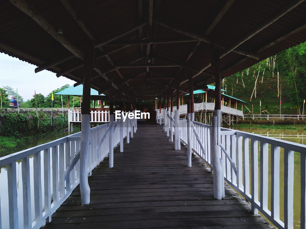 Empty footbridge along trees