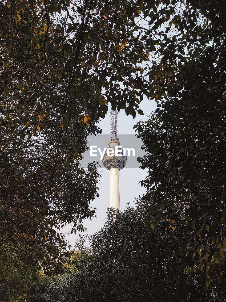 LOW ANGLE VIEW OF COMMUNICATIONS TOWER AGAINST SKY