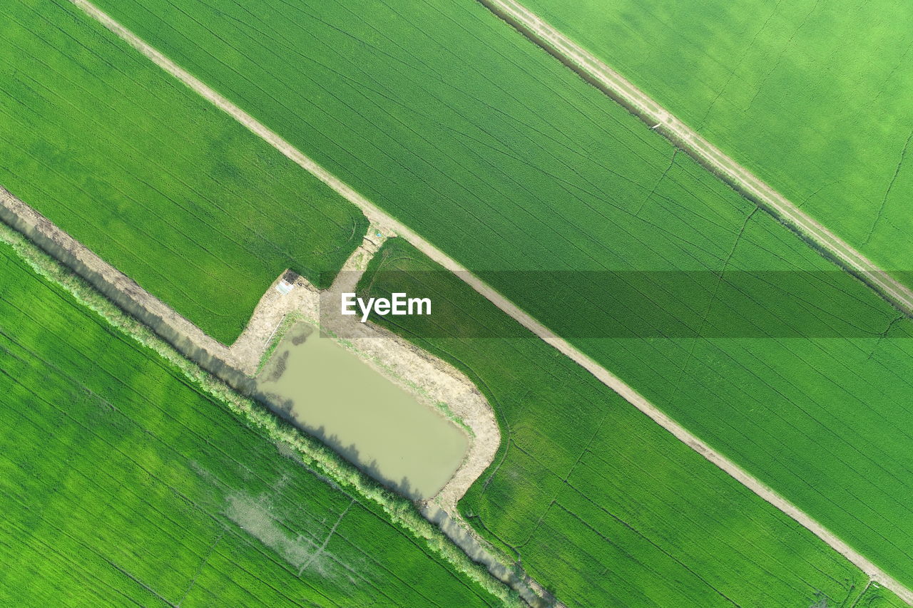 high angle view of agricultural field