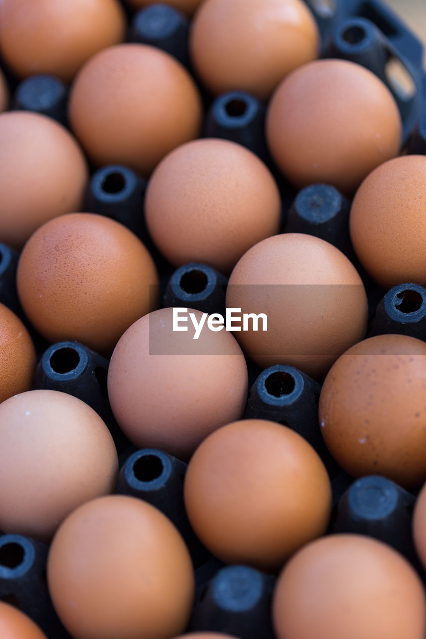 Egg in black plastic tray