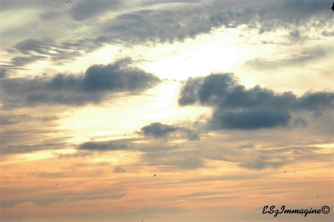 LOW ANGLE VIEW OF CLOUDS IN SKY