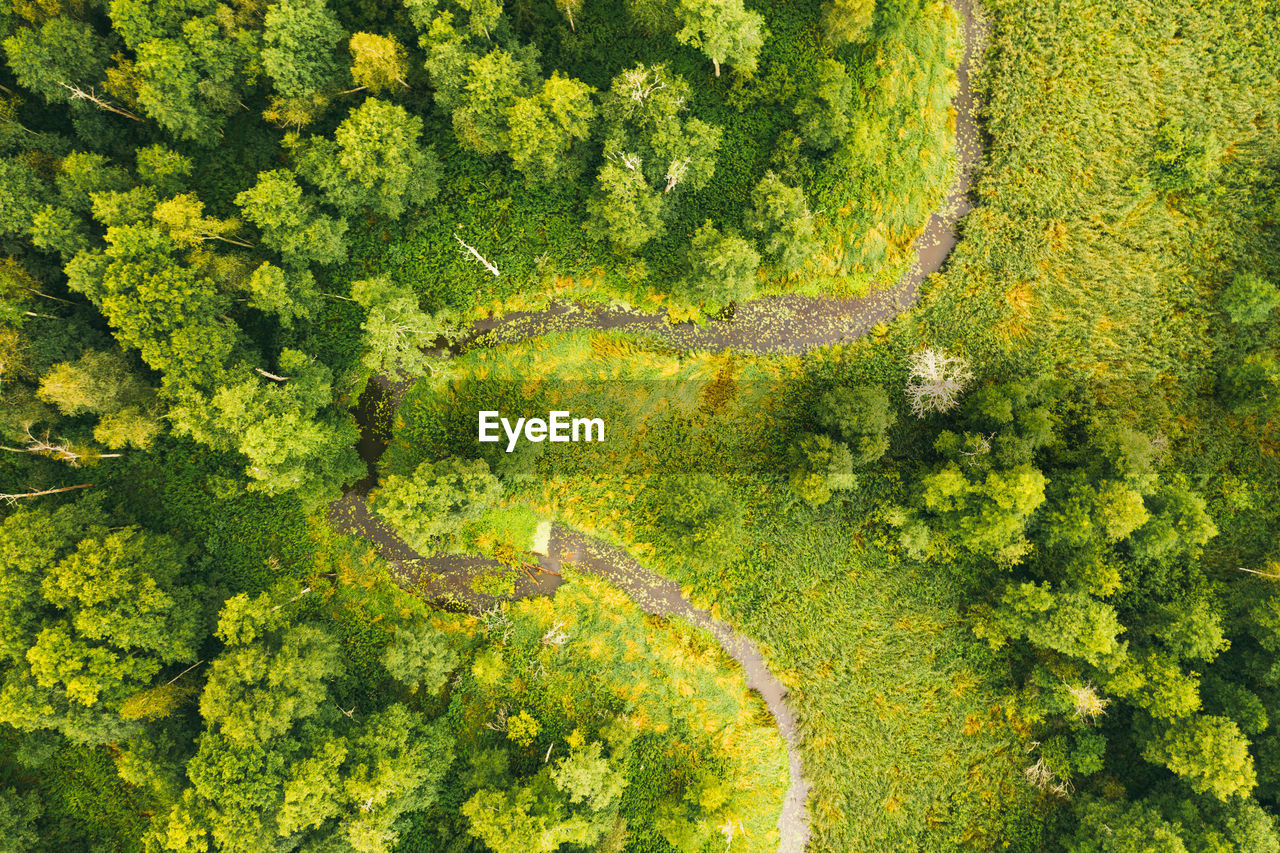 Aerial drone view of winding river in greenfield. lush wetlands of bird's eye view. 