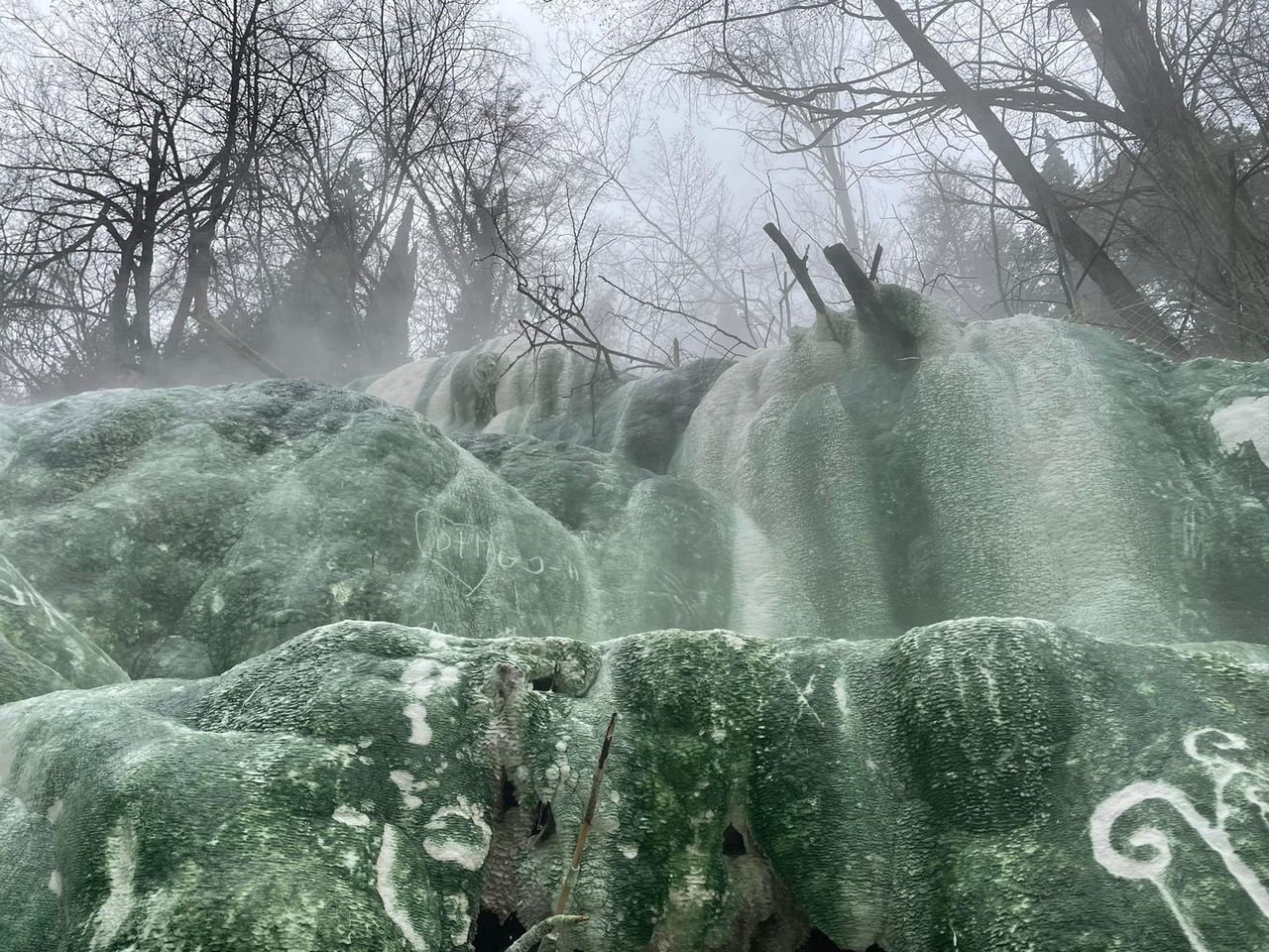 tree, plant, nature, waterfall, frost, no people, fog, snow, bare tree, water, day, beauty in nature, water feature, land, outdoors, environment, scenics - nature, cold temperature, freezing, winter, growth, green, tranquility, ice
