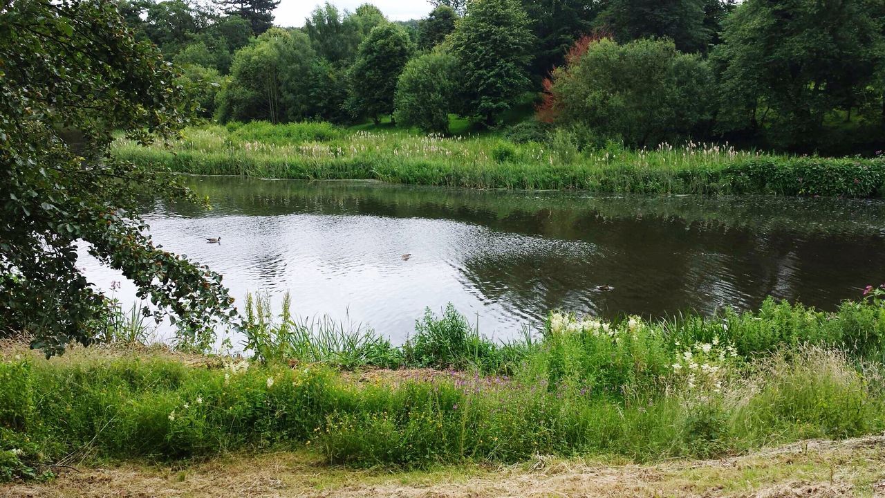 SCENIC VIEW OF LAKE