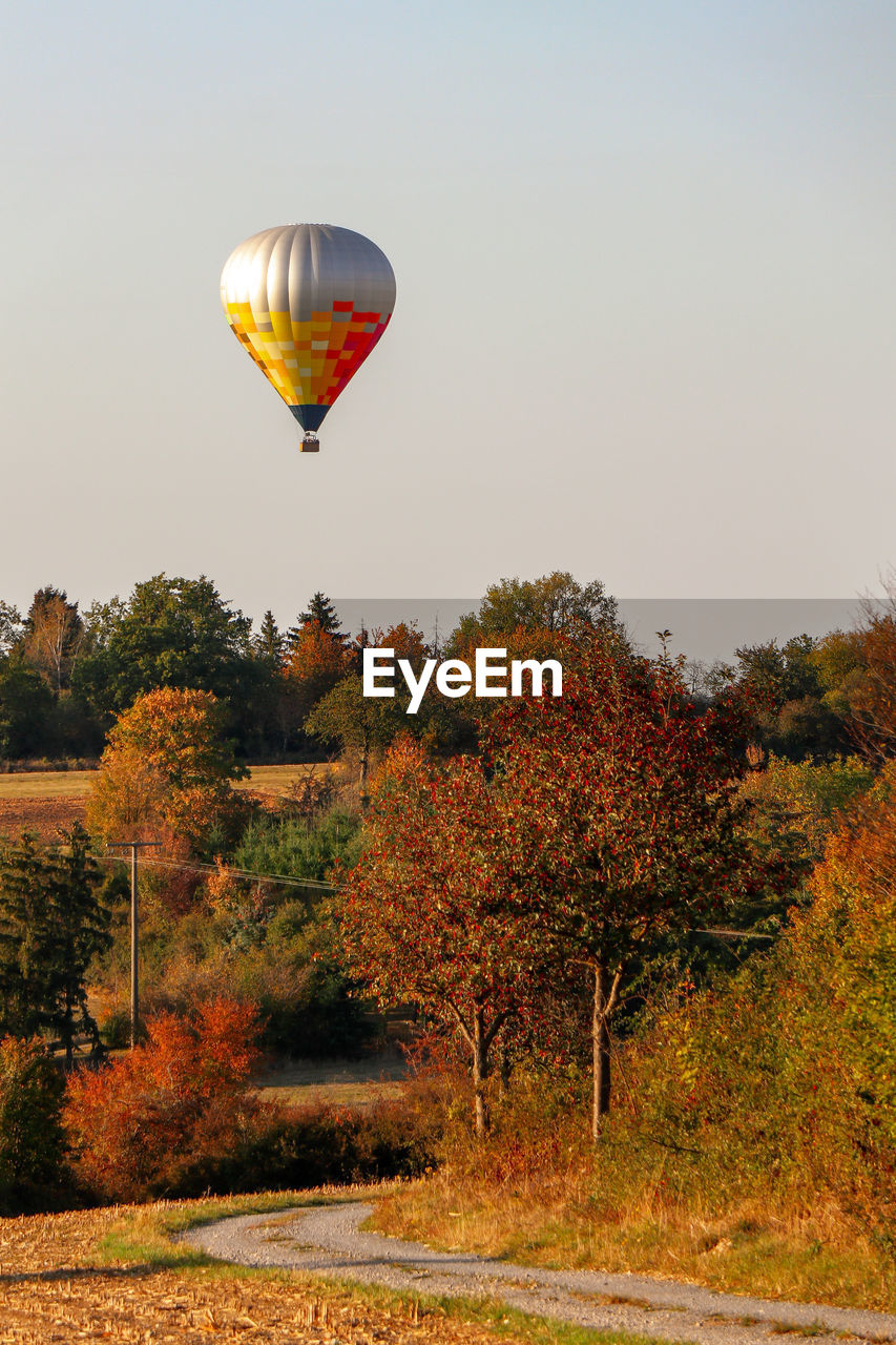HOT AIR BALLOON FLYING OVER TREES