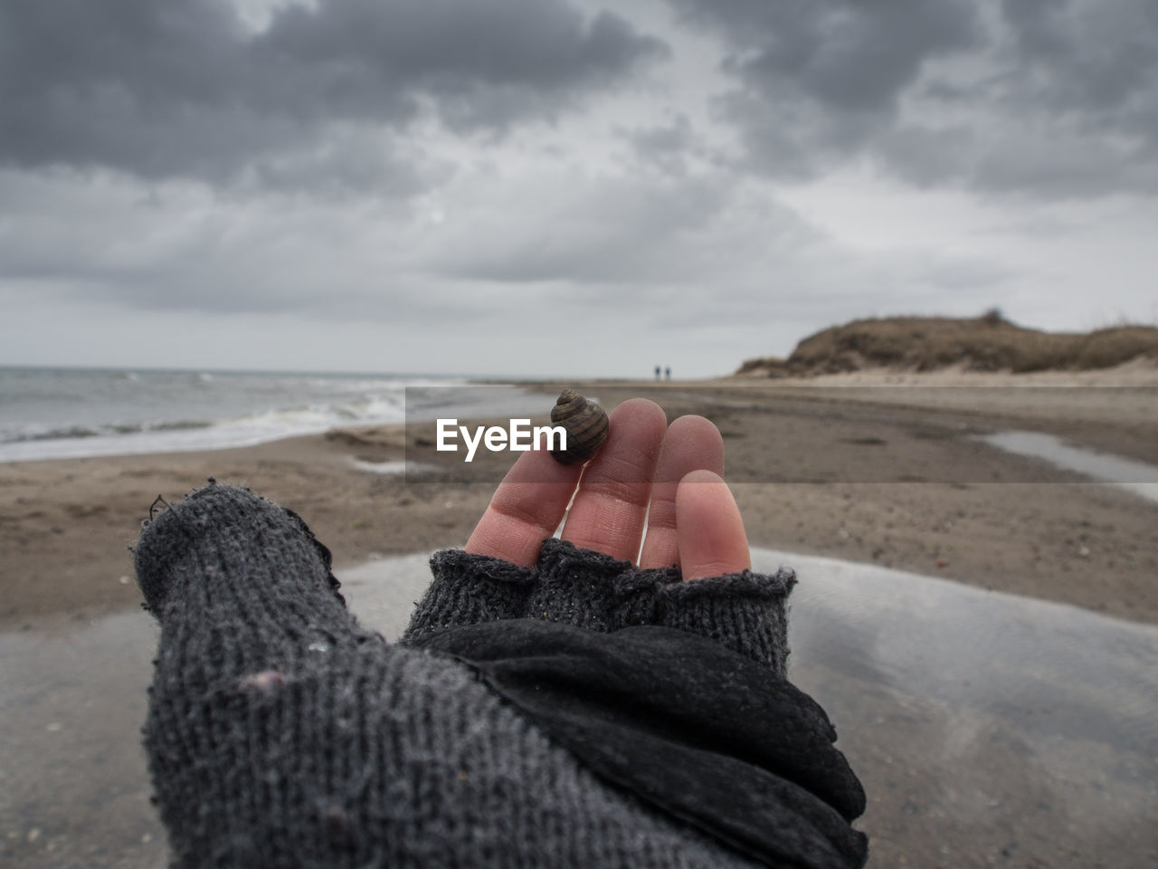 Hand holding seashell