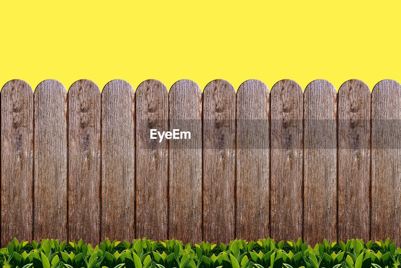 CLOSE-UP OF WOODEN FENCE AGAINST YELLOW PLANTS