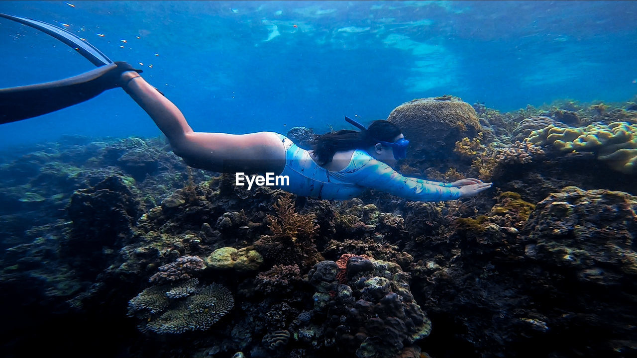 Full length of woman swimming undersea