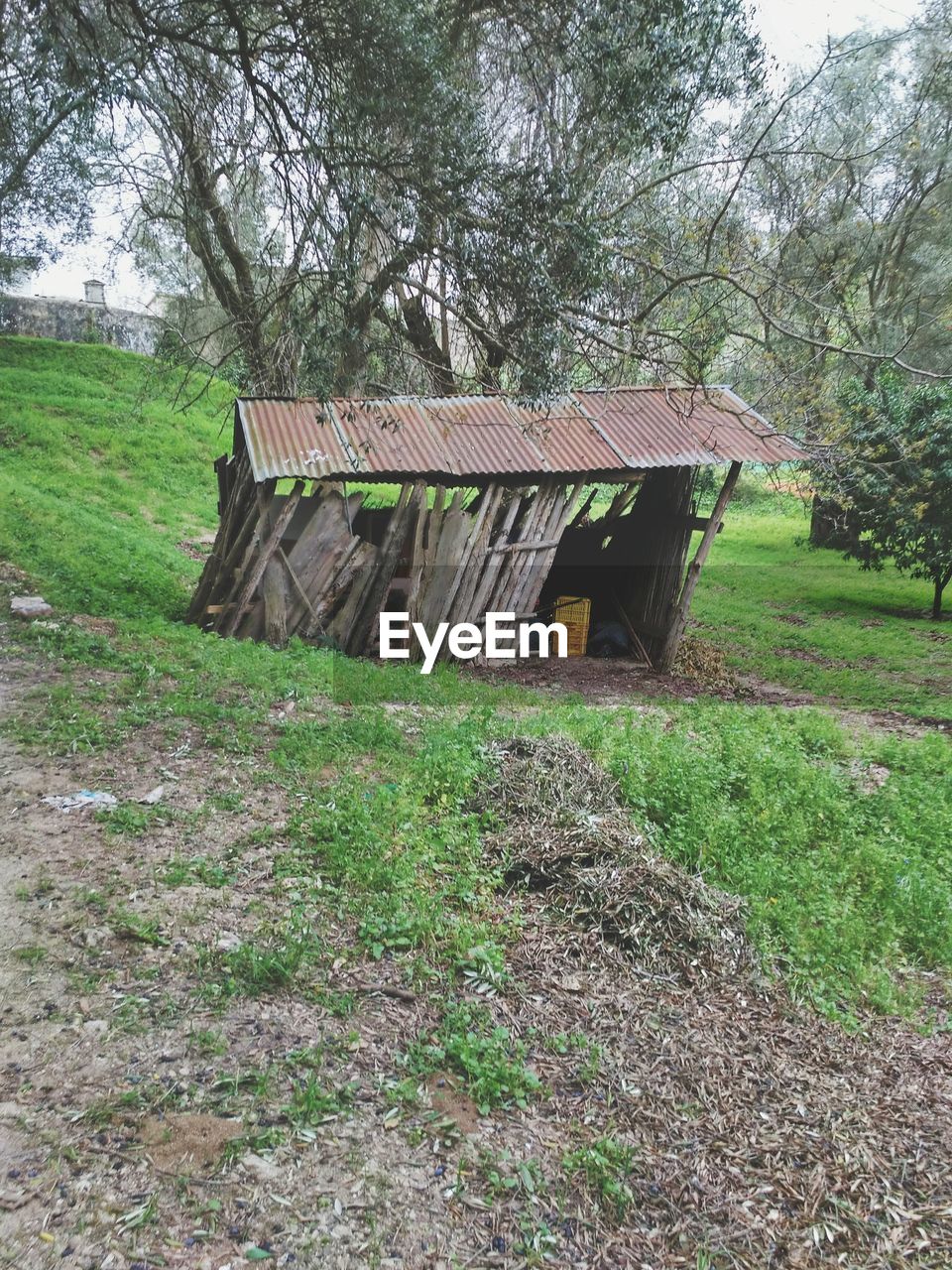 WOODEN HOUSE ON FIELD