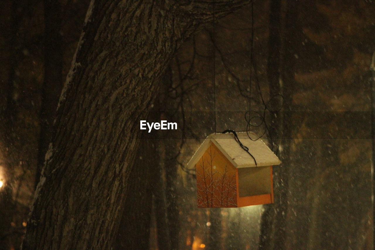 CLOSE-UP OF CLOTHES HANGING ON TREE TRUNK