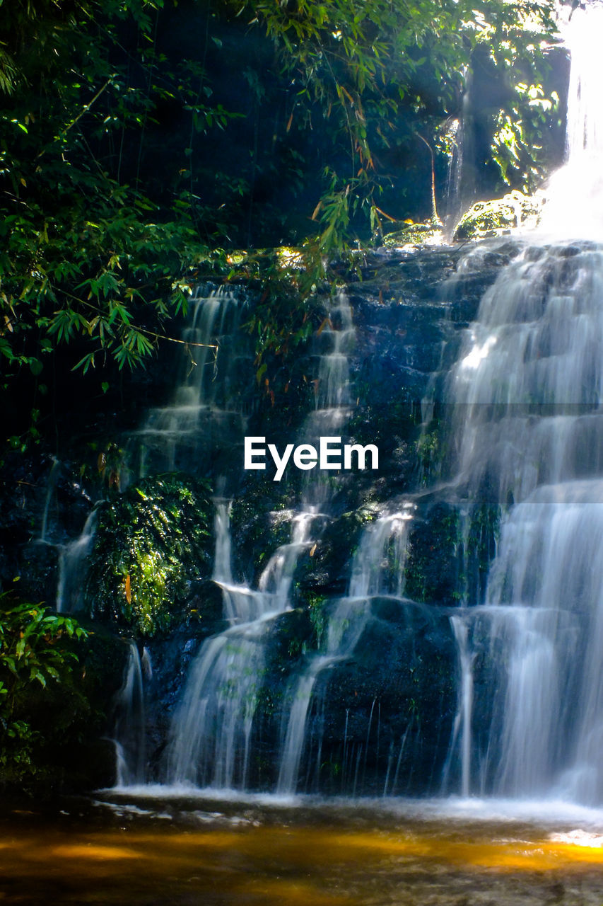 SCENIC VIEW OF WATERFALL IN FOREST