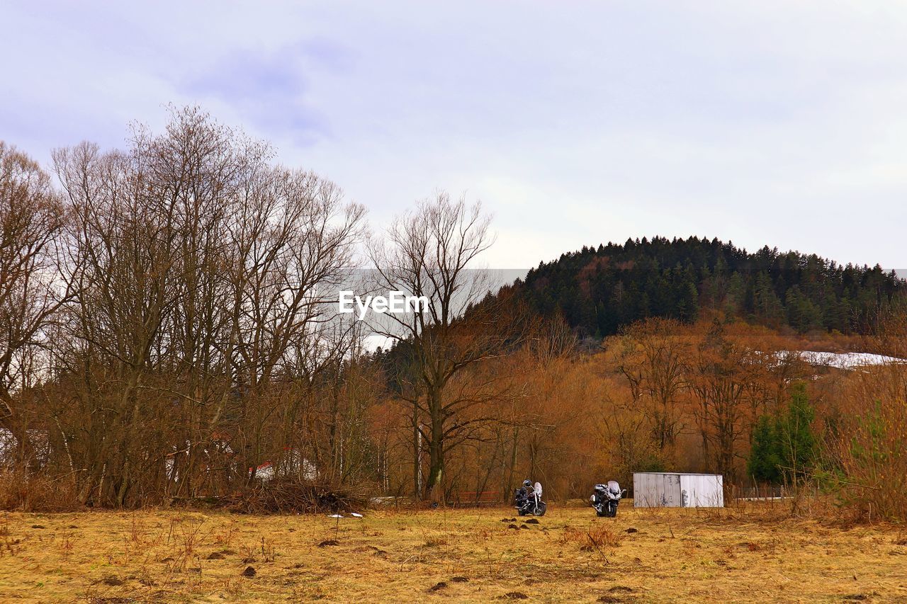 Bare trees on field against sky