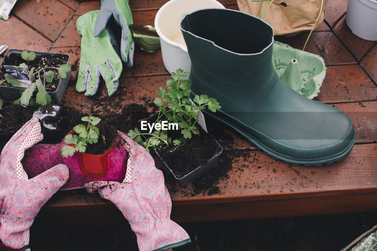 Cropped image of woman planting in old shoe