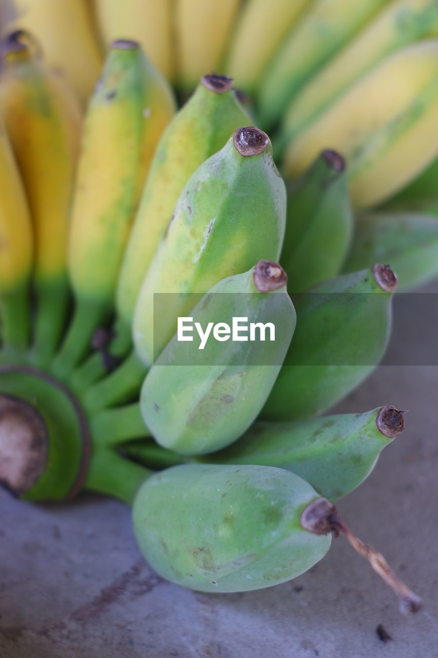 HIGH ANGLE VIEW OF FRUIT