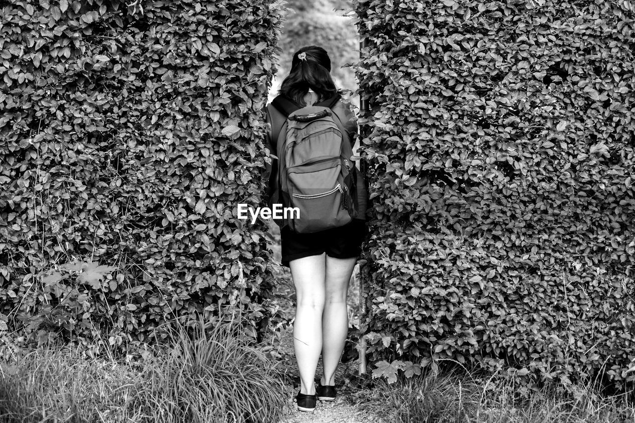 Rear view of woman standing amidst ivy