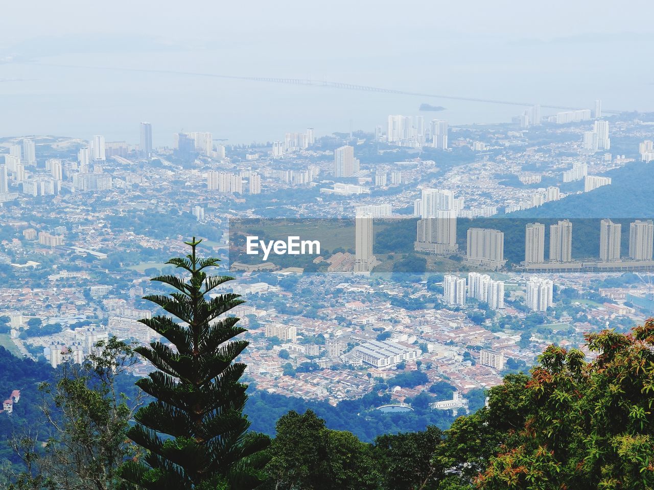 HIGH ANGLE VIEW OF TREES AND BUILDINGS AGAINST SKY