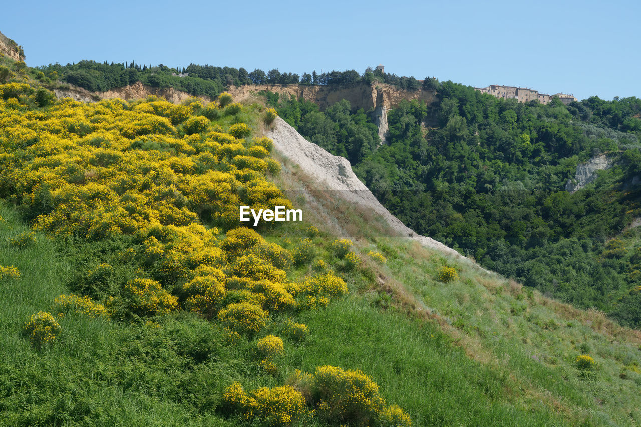 high angle view of trees on mountain against clear sky