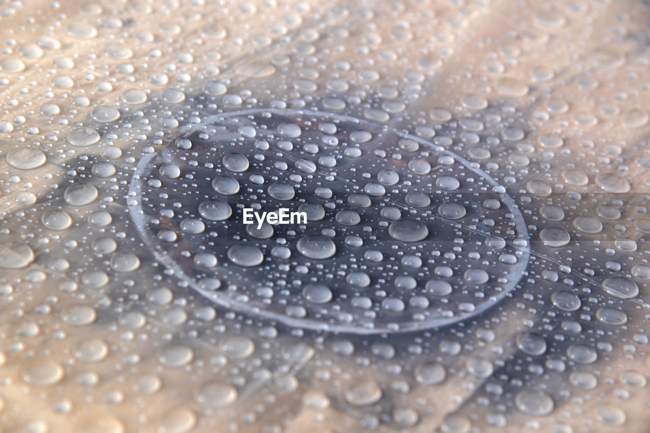 drop, close-up, water, wet, full frame, backgrounds, no people, nature, selective focus, pattern, macro photography, petal, moisture, rain, indoors, bubble, shiny, dew, textured, extreme close-up, frost, macro, circle