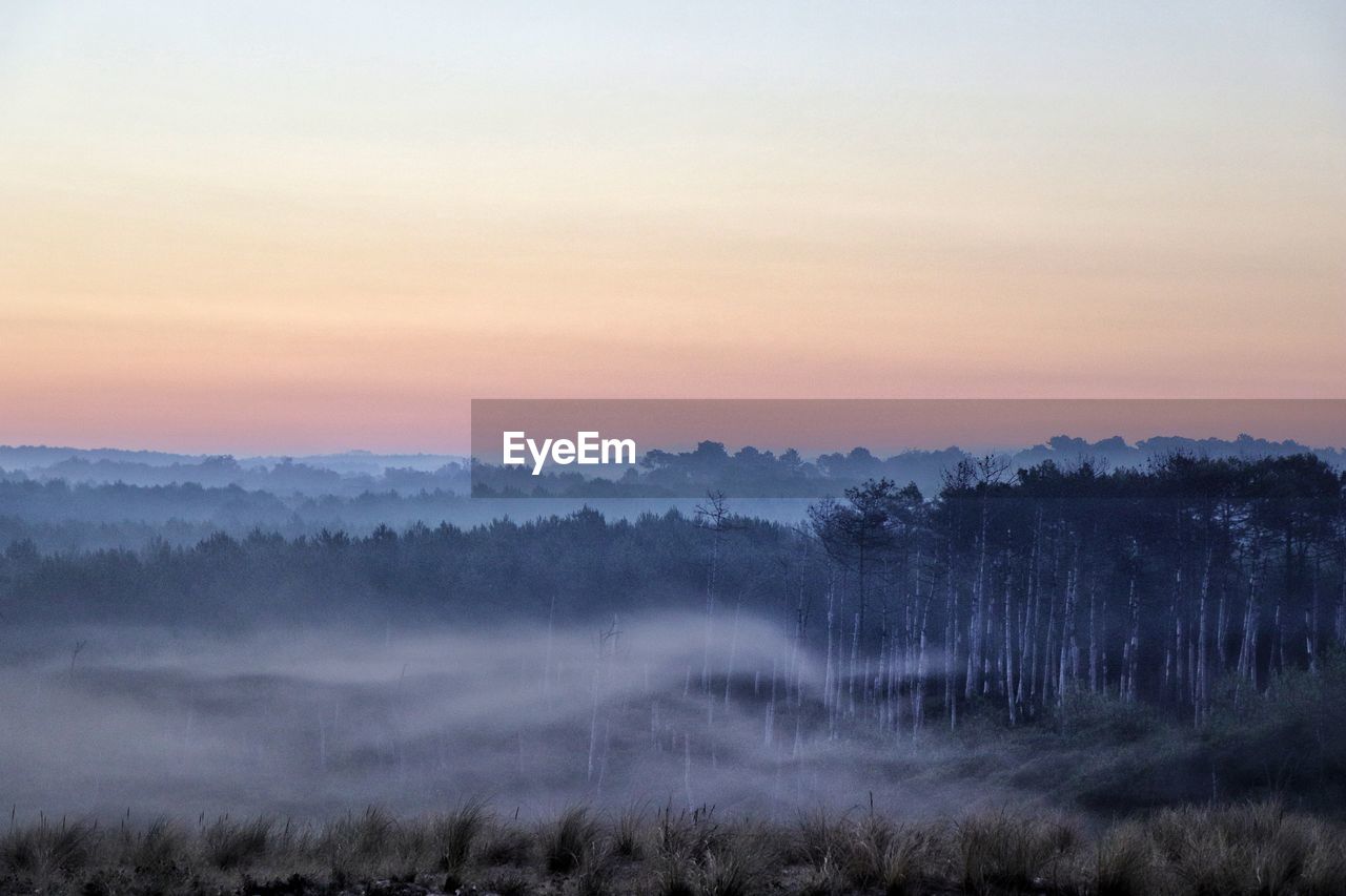 Trees on landscape against sky during sunset