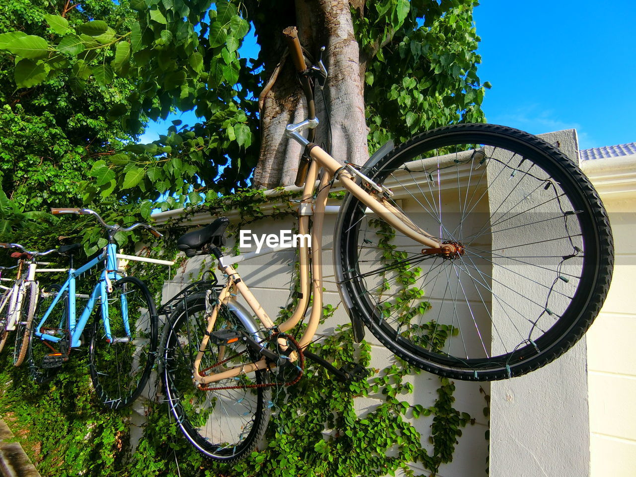 LOW ANGLE VIEW OF BICYCLE AGAINST TREE