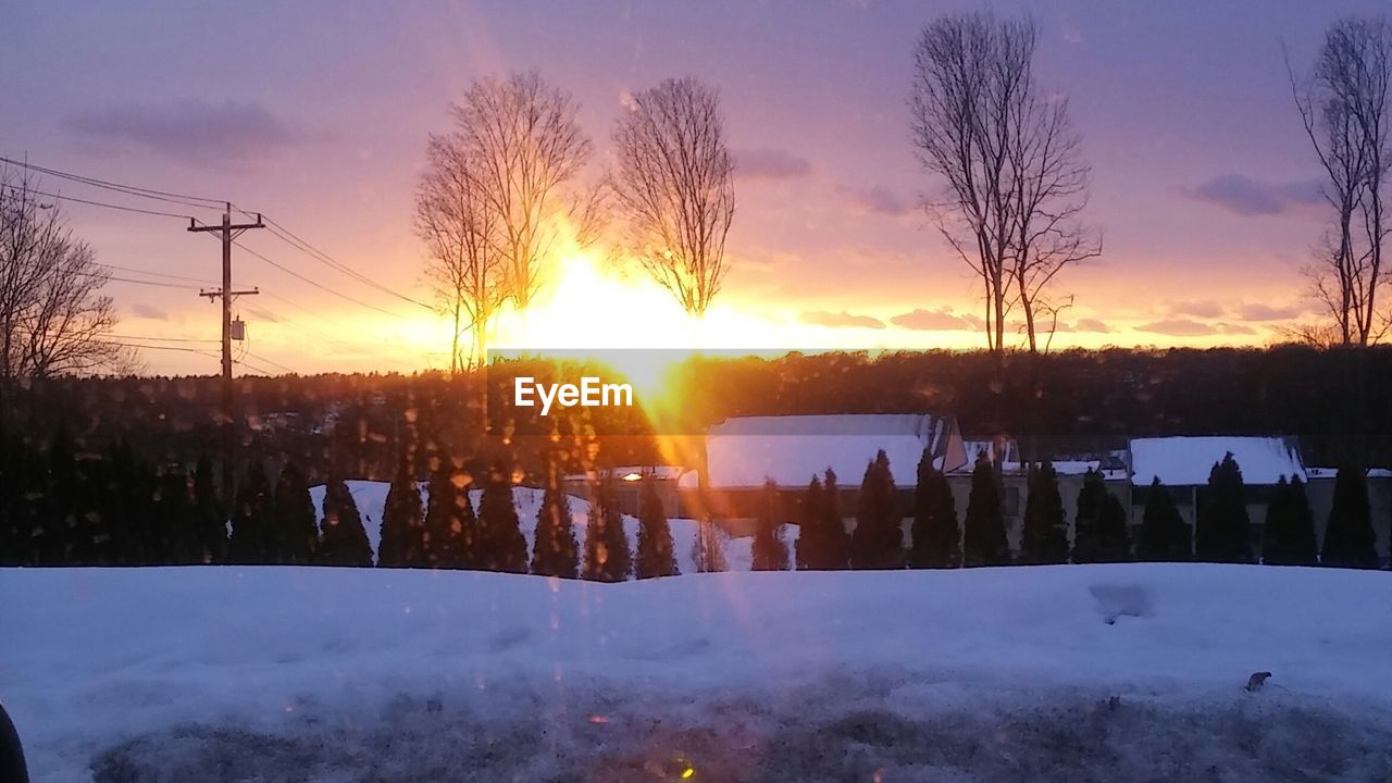 SCENIC VIEW OF SILHOUETTE TREES DURING SUNSET