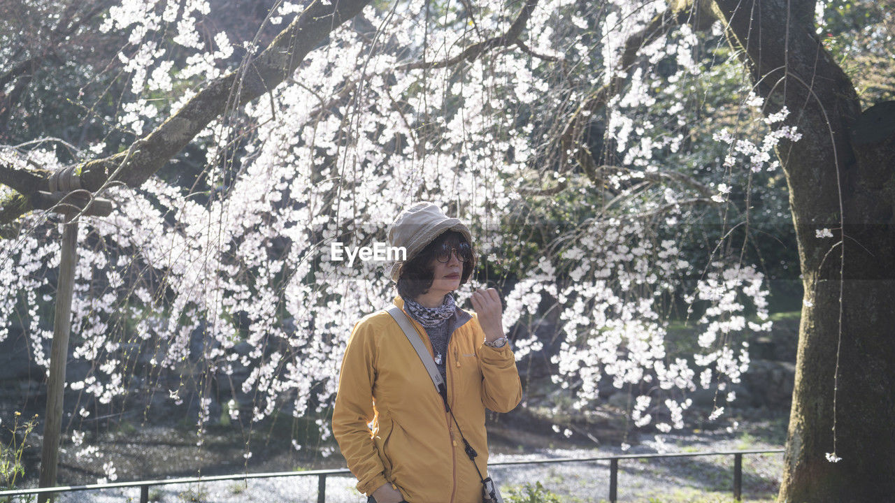 Young man standing against cherry blossom trees