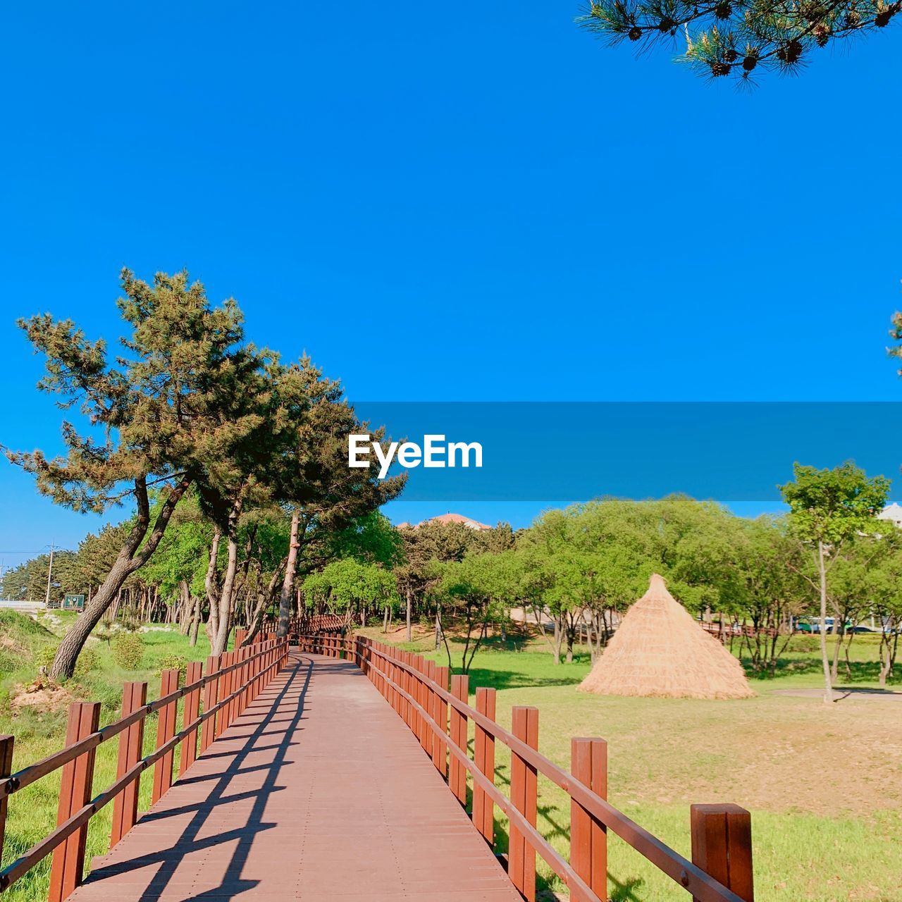 Footpath amidst trees against clear blue sky