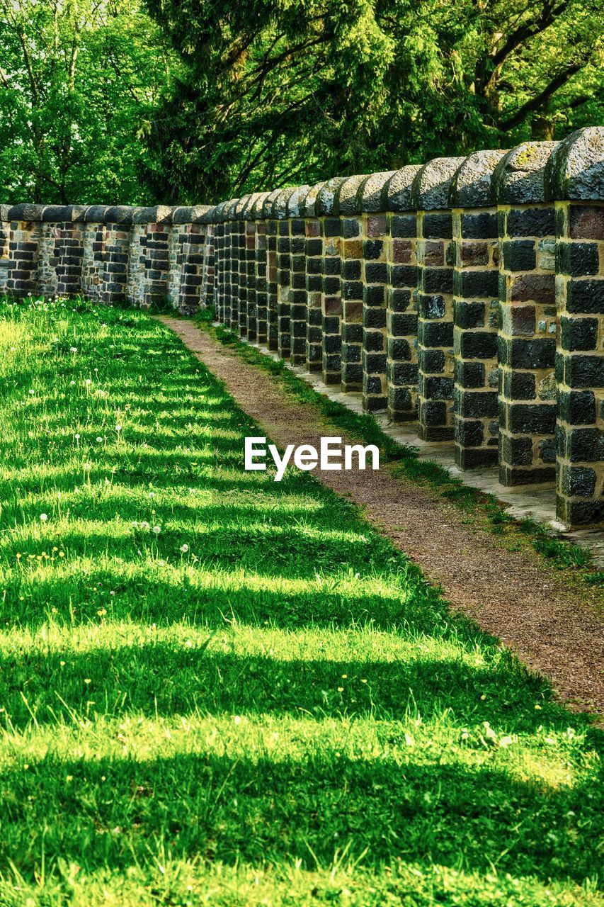 GRASS AND TREES