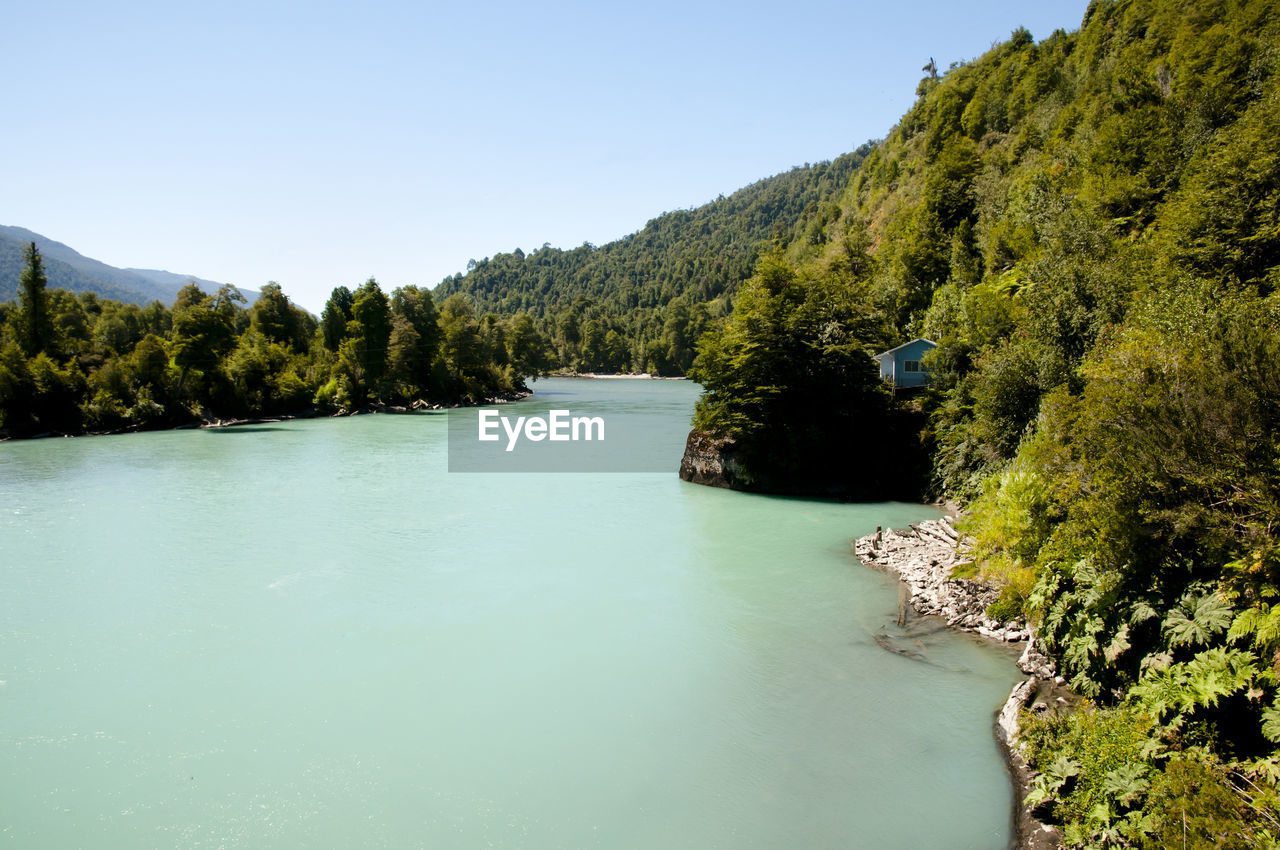 Scenic view of river in forest against clear sky