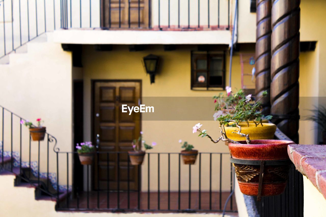 Flower pots attached on railing of building