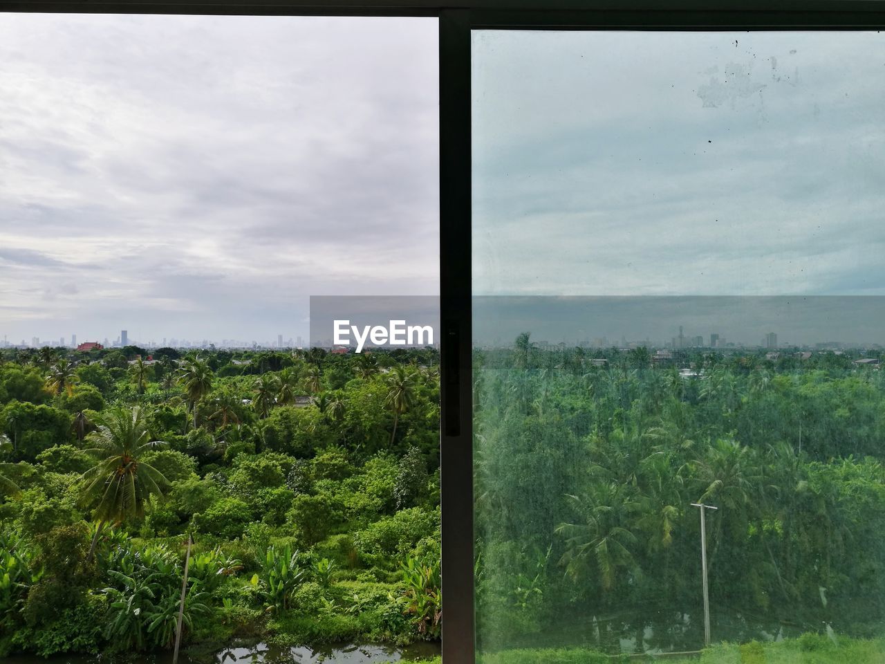 SCENIC VIEW OF GREEN FIELD AGAINST SKY