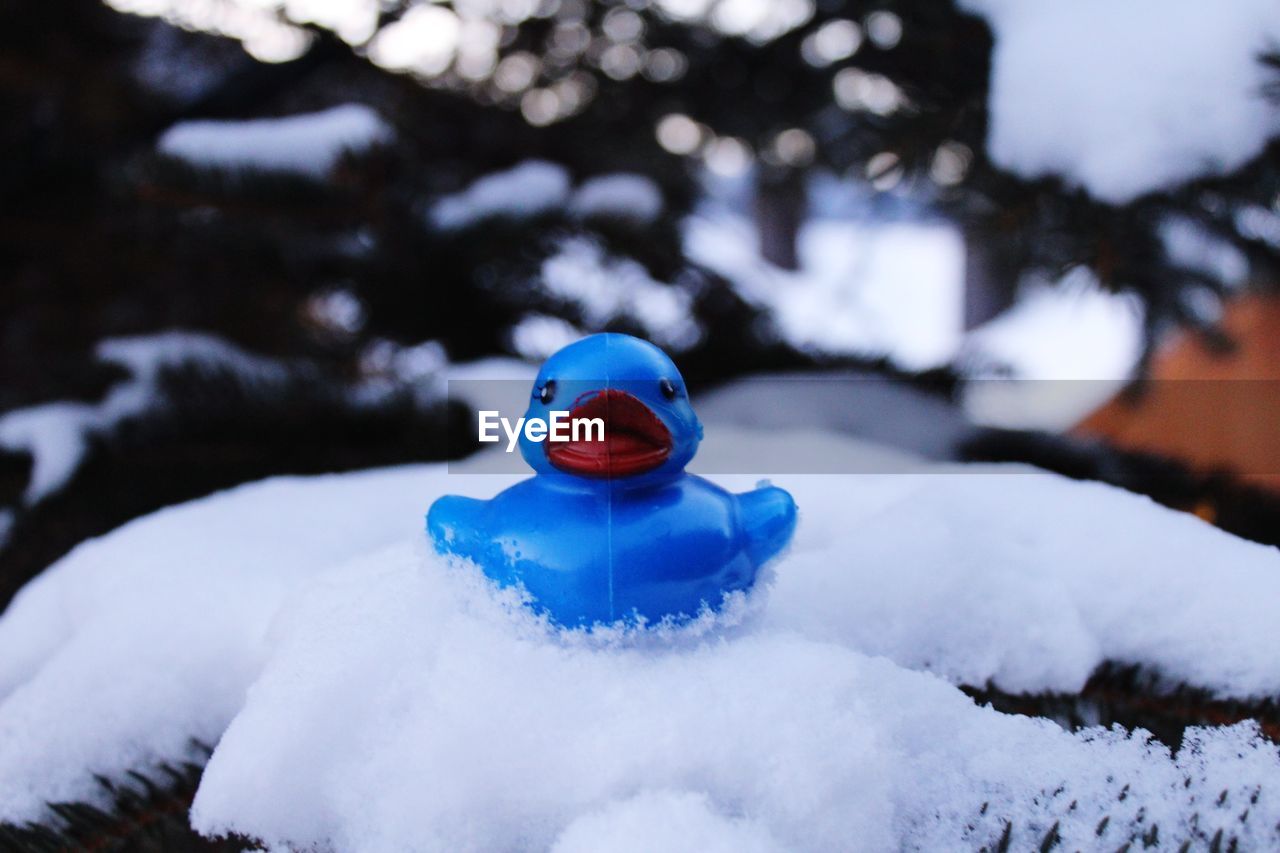 CLOSE-UP OF SNOW ON SHORE