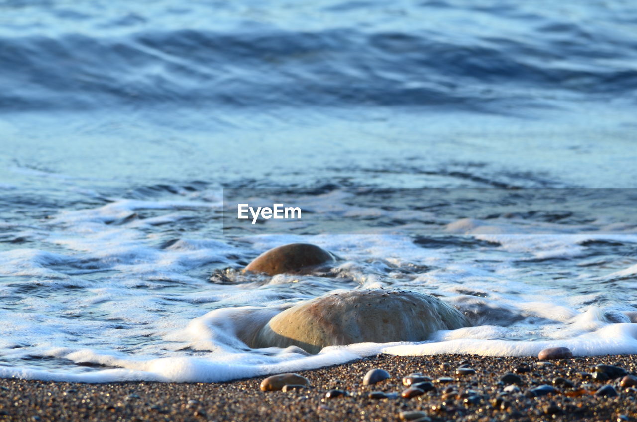 Close-up of stone on beach against sky