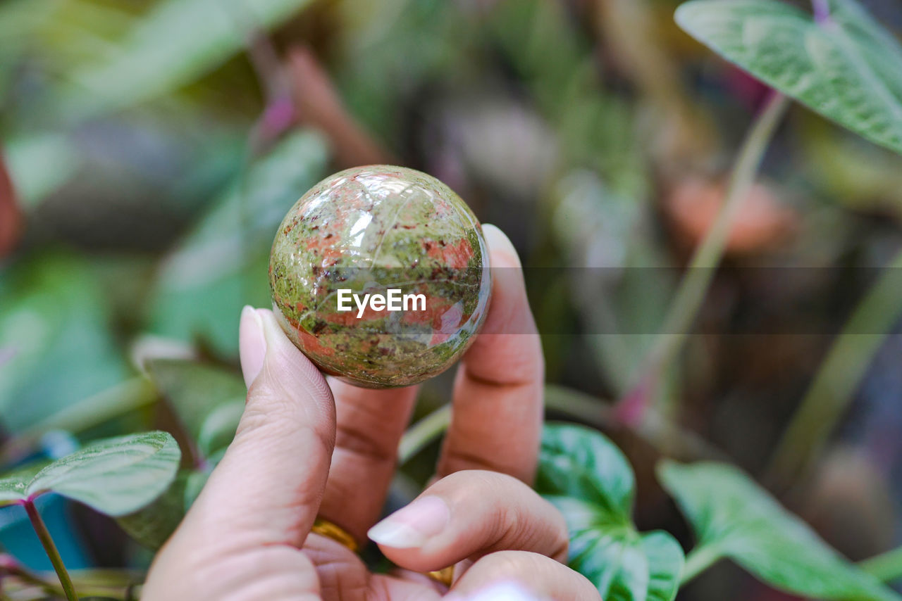 Close-up of hand holding sphere against plants
