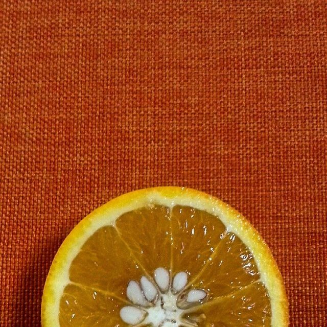 CLOSE-UP OF SERVED IN BOWL