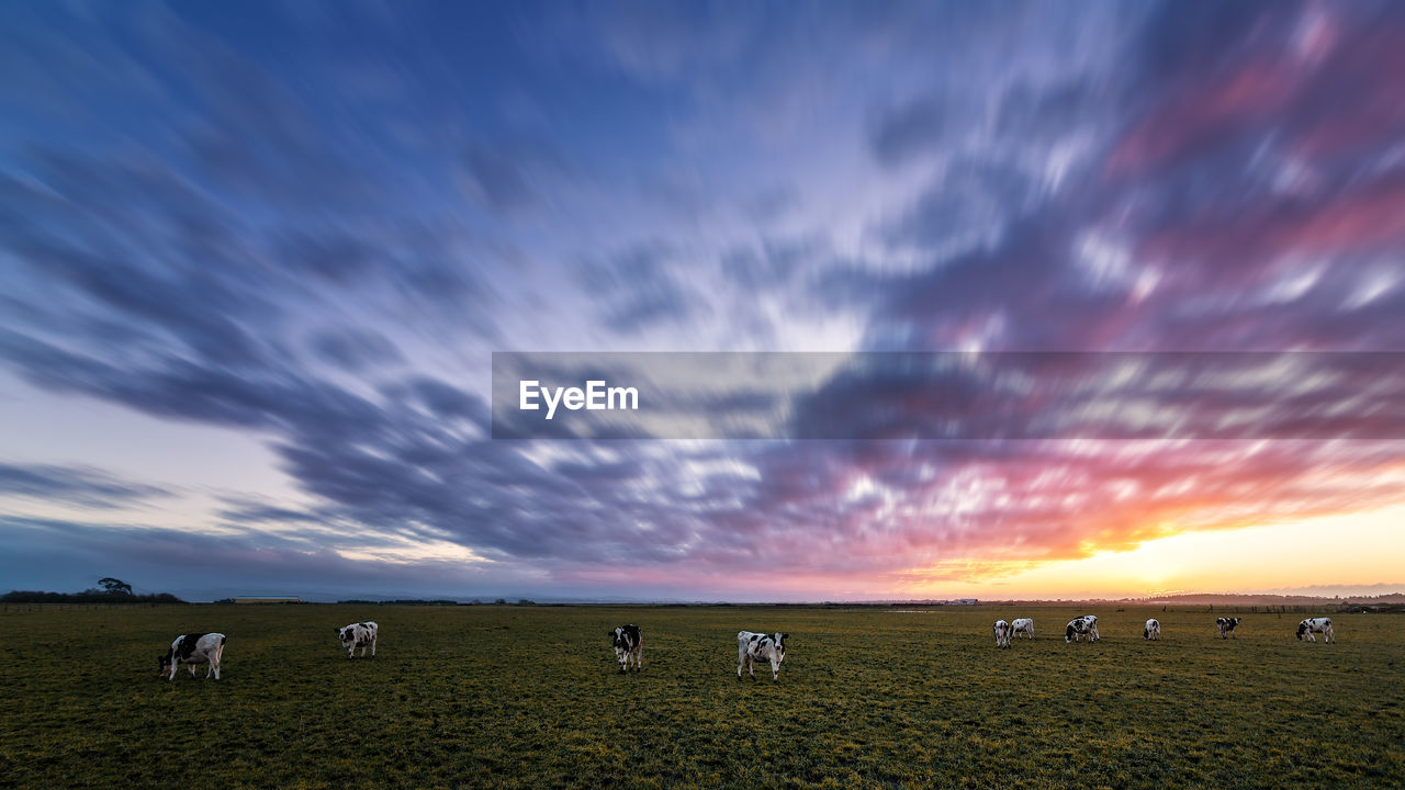 Scenic view of dramatic sky over agricultural landscape