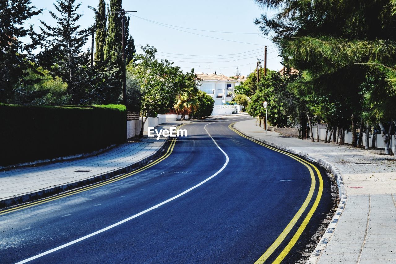 ROAD BY TREES IN CITY