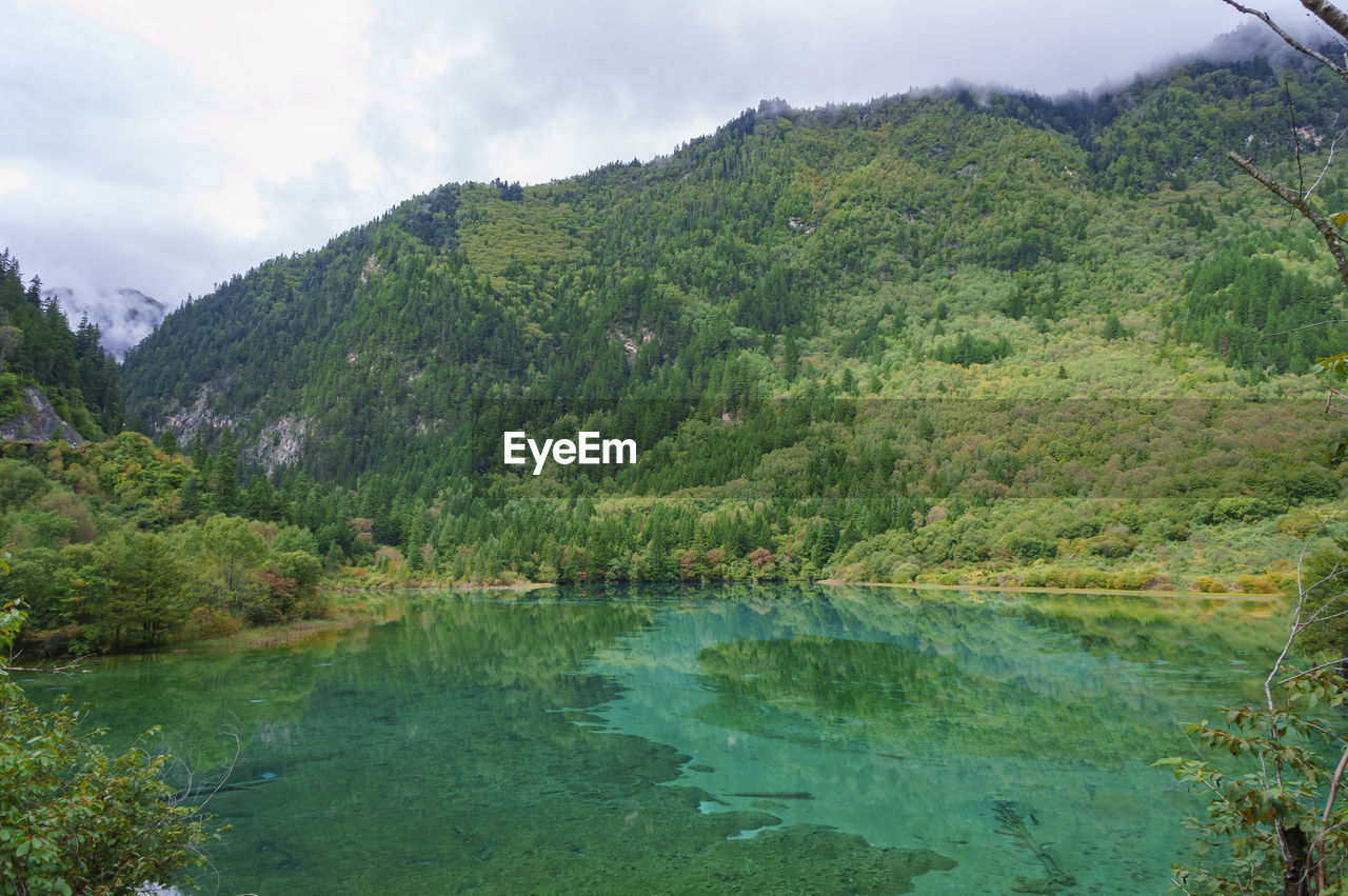 Beautiful scenery landscape in the valley with mountains view at jiuzhaigou valley national park.