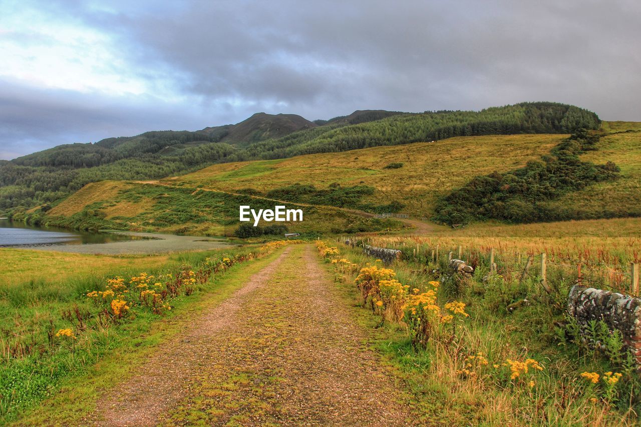 Scenic view of landscape against sky