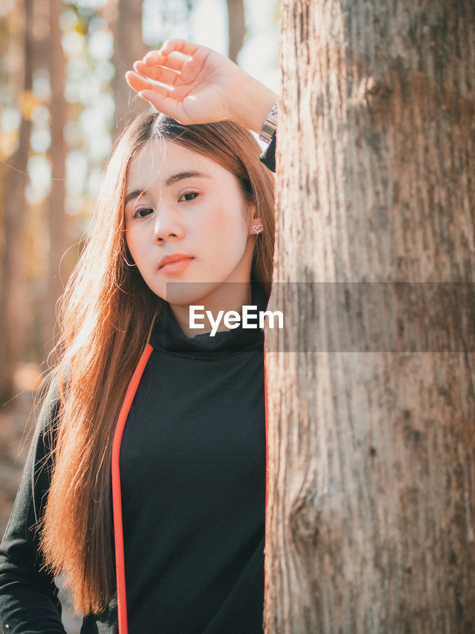 Portrait of beautiful young woman standing against tree trunk