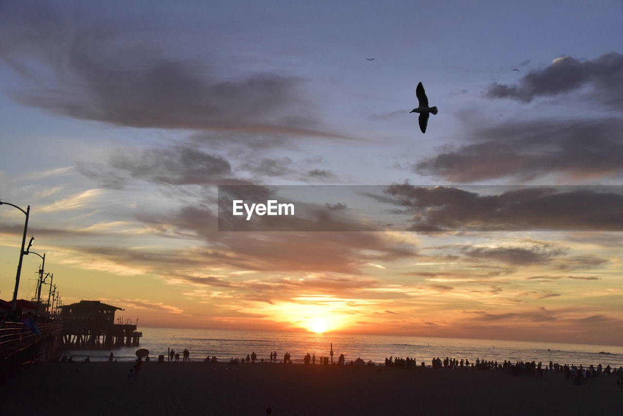 SILHOUETTE OF SEAGULLS FLYING OVER SEA AGAINST SKY