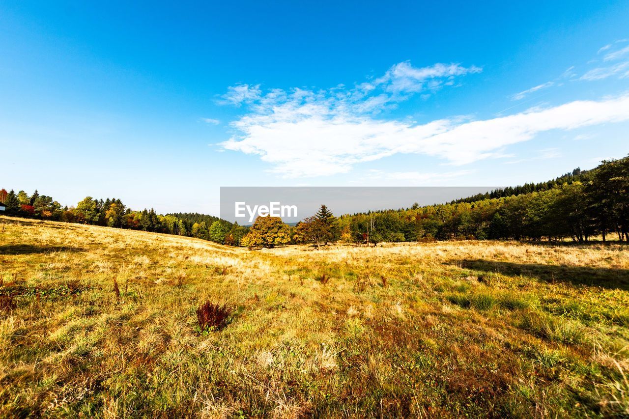 Scenic view of field against sky