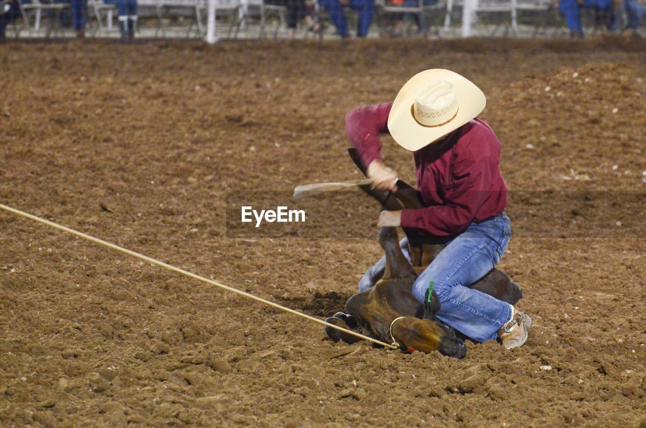 Full length of man holding calf on field