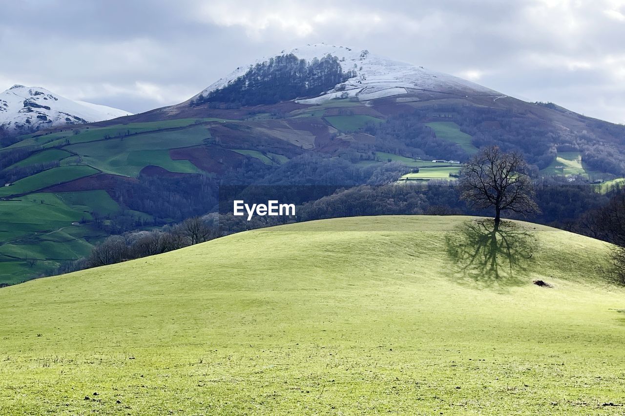 Scenic view of landscape and mountains against sky